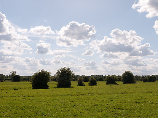 포토 JPG 해외이미지 식물 구름 계절 백그라운드 밭 농업 자연 하늘 풍경 잔디 사람없음 목재 초록색 여름 파란색 햇빛 태양 농장 농경지 노란색 환경 맑음 봄 자유 시골 신선 숲 5월 땅 유기농 장면 지역 천국 내추럴 밭일 파라다이스 수평선 해외202004 해외포토 자연요소 나무 웰빙 산업 컬러 컨셉 재료 날씨 날짜 생태계 파일형식 이미지허브