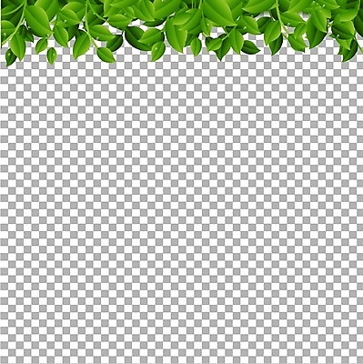 EPS 해외이미지 모양 나무 식물 디자인 계절 꽃 백그라운드 잎 꽃무늬 밭 일러스트 부활절 프레임 잔디 목재 가로 초록색 여름 봄 흰색 나뭇가지 말벌 땅 수집 허브 오브젝트 그림 에코 유기농 조경 내추럴 고립 생태학 해외202004 해외일러스트 웰빙 교육 기념일 컬러 무늬 농업 재료 환경 벌_곤충 파일형식 벡터 이미지허브