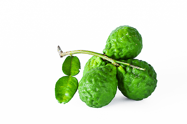 포토 JPG 해외이미지 아시아 음식 백그라운드 잎 채소 과일 재료 태국 자연 귤 건강 요리 동양인 사람없음 치료 초록색 흰색 신선 거친 주름 레몬 허브 유기농 날것 아로마 라임 샴푸 내추럴 고립 이국적 해외202004 해외포토 식물 웰빙 나라 컬러 의학 인종 위생용품 생태계 파일형식 이미지허브