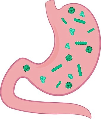 EPS 해외이미지 일러스트 건강 내부 치료 약 오르간 바이러스 질병 감염 미생물 가스 시스템 문제 박테리아 악취 나쁜 증상 해외202004 해외일러스트 의학 생물 건반악기 냄새 파일형식 벡터 이미지허브