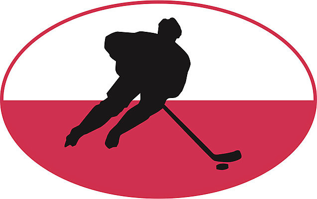 EPS 해외이미지 실루엣 스포츠 포즈 올림픽 겨울 일러스트 학교 모션 성공 넥타이 기술 미술 안전 취미 경기장 스케이트 게임 우승 막대기 보호 헬멧 속도 슛 방패 점수 보호자 스케이터 폴란드 골 전국 챔피언 토너먼트 퍽 플레이어 필승 해외202004 해외일러스트 잡화 계절 교육 유럽 스포츠용품 컨셉 스포츠시설 놀이 문화예술 운동선수 촬영기법 최고 보호장비 하키용품 파일형식 벡터 이미지허브