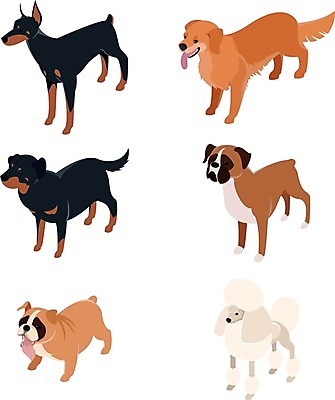 EPS 해외이미지 여러마리 일러스트 사람없음 귀여움 골든리트리버 강아지 푸들 메롱 개캐릭터 엘리먼트 프렌치불독 해외202004 도베르만핀셔 로트와일러 해외일러스트 일러캐릭터 캐릭터 동물캐릭터 다수 컨셉 모션 반려동물 개 리트리버 불독 파일형식 벡터 핀셔 이미지허브