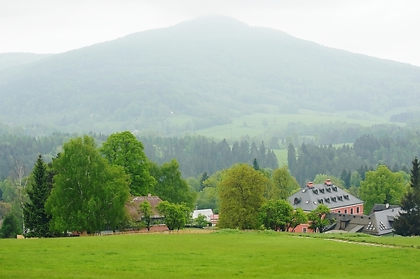 포토 JPG 해외이미지 나무 계절 백그라운드 잎 자연 아침 날씨 산 그림자 이끼 풍경 사람없음 목재 초록색 빛 환경 안개 가을 황무지 숲 신비 공상 내추럴 땅바닥 뿌연 해외202004 해외포토 주간 식물 컬러 컨셉 재료 바닥 생태계 파일형식 이미지허브