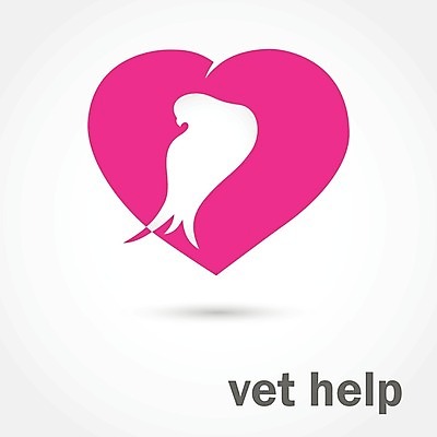 EPS 해외이미지 동물 손 디자인 실루엣 컨셉 2 날개 일러스트 자연 조류 하늘 아이디어 발렌타인데이 사랑 사람 그래픽 빨간색 초록색 세계 글로벌 평화 희망 천주교 자유 흰색 하트 인사 심볼 순수 사인 그림 비둘기 심플 수의사 고립 돌봄 우화 해외202004 해외일러스트 모양 감정 종교 컬러 모션 데이이벤트 촬영기법 신체부위 의사 예절 생태계 파일형식 벡터 이미지허브