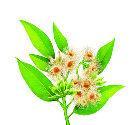 포토 JPG 해외이미지 식물 꽃 줄기 잎 일러스트 자연 경사 사람없음 장식 초록색 노란색 새싹 환경 정원 봄 성장 나뭇가지 신선 개화 닫기 작음 묘사 오브젝트 원예 내추럴 미니 그리너리 부족함 해외202004 해외포토 나무 계절 컬러 컨셉 모션 취미 크기 생태계 파일형식 트랜드컬러 이미지허브