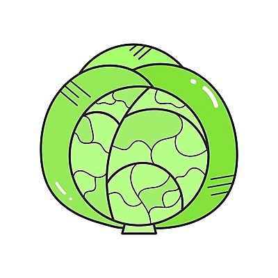 EPS 해외이미지 식물 디자인 음식 백그라운드 잎 농업 다이어트 채소 일러스트 재료 자연 건강 요리 그래픽 초록색 농장 정원 식사 샐러드 수확 흰색 신선 시장 플랫 상품 만화 먹기 심볼 오브젝트 그림 에코 유기농 양배추 날것 내추럴 고립 숙성 엘리먼트 채식주의자 비건 해외202004 해외일러스트 웰빙 산업 컬러 모션 환경 생태계 채식 파일형식 벡터 이미지허브