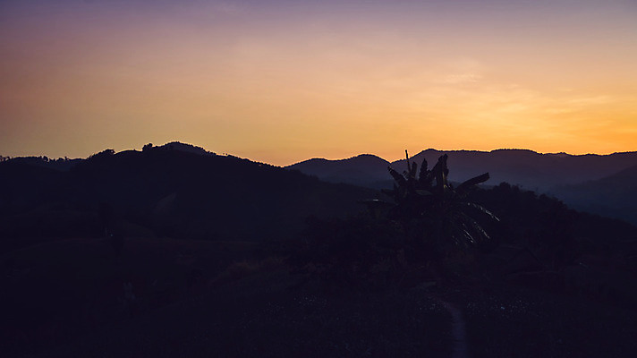 포토 JPG 해외이미지 나무 구름 공원 여행 백그라운드 잎 자연 하늘 아침 산 풍경 사람없음 야외 초록색 일출 환경 일몰 새벽 안개 숲 공상 내추럴 뿌연 전국 절정 해외202004 해외포토 주간 자연요소 식물 공공시설 컬러 날씨 노을 생태계 파일형식 이미지허브
