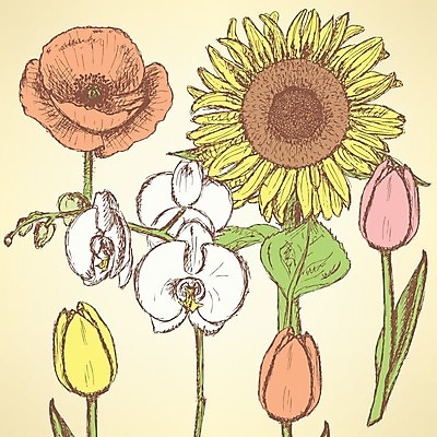 EPS 해외이미지 식물 손 디자인 꽃잎 꽃 선 꽃다발 백그라운드 잎 꽃무늬 패턴 일러스트 자연 벽지 해바라기 잉크 그래픽 여름 컬러풀 정원 페인트 봄 수확 성장 벚꽃 축하 화려 그리기 난초 우아함 스케치 타일 그림 복고 양귀비 그런지 엘리먼트 현실 해외202004 해외일러스트 계절 컬러 컨셉 무늬 농업 모션 미술 신체부위 생태계 파일형식 벡터 이미지허브