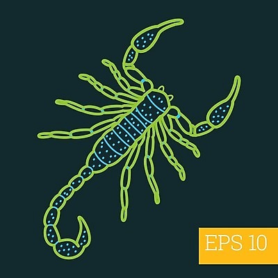 EPS 해외이미지 동물 디자인 야생동물 선 곤충 일러스트 그래픽 픽토그램 주름 위험 전갈 심볼 오브젝트 사인 그림 심플 윤곽 전갈자리 찌르기 고립 얇은 엘리먼트 오싹 해외202004 해외일러스트 컨셉 절지류 모션 별자리 파일형식 벡터 이미지허브