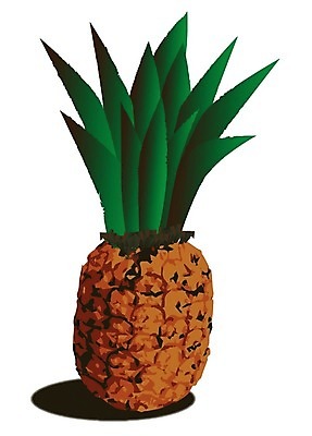 EPS 해외이미지 일러스트 사람없음 파인애플 해외202004 해외일러스트 과일 열대과일 파일형식 벡터 이미지허브