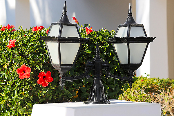 포토 JPG 해외이미지 나무 식물 외관 건축양식 유리 거리 사람없음 빛 금속 등불 램프 도시 투명 오브젝트 그림 해외202004 해외포토 건축 재질 조명 파일형식 이미지허브