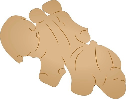 EPS 해외이미지 모양 디자인 실루엣 음식 백그라운드 다이어트 채소 일러스트 재료 자연 건강 요리 약 갈색 식사 흰색 신선 조미료 맛 상품 먹기 허브 향신료 오브젝트 싱글 그림 유기농 매움 날것 향기 아로마 뿌리 향료 생강 내추럴 숙성 엘리먼트 채식주의자 비건 해외202004 해외일러스트 식물 웰빙 컬러 컨셉 의학 모션 촬영기법 생태계 채식 냄새 향미료 파일형식 벡터 이미지허브