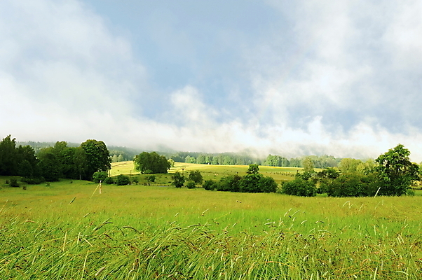포토 JPG 해외이미지 나무 구름 여행 백그라운드 자연 하늘 날씨 산 파노라마 풍경 사람없음 야외 초록색 물 여름 파란색 빛 태양 맑음 어둠 봄 젖음 안개 흰색 숲 폭풍 공터 삼림지대 해외202004 해외포토 자연요소 식물 계절 컬러 촬영기법 생태계 파일형식 이미지허브