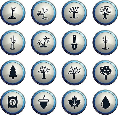 EPS 해외이미지 나무 단풍 잎 과일 일러스트 야자수 흙 떨어짐 심볼 물주기 도토리 전나무 거름 가터벨트 묘목 해외202004 해외일러스트 식물 컨셉 모션 견과류 벨트 파일형식 벡터 이미지허브