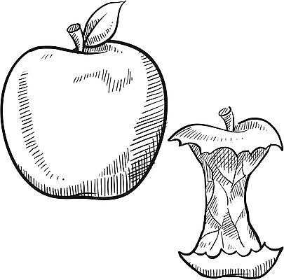 EPS 해외이미지 나무 식물 잡화 음식 농업 다이어트 과일 일러스트 건강 씨앗 빨간색 초록색 쇼핑 농장 수확 신선 낙서 사과 과수원 스케치 먹기 그림 유기농 점심식사 고립 숙성 핵심 해외202004 해외일러스트 웰빙 산업 컬러 모션 미술 식사 파일형식 벡터 이미지허브