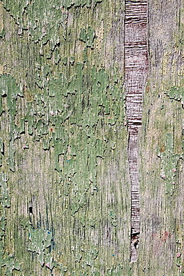 포토 JPG 해외이미지 선 표면 바닥 사람없음 가로 빛 회색 거친 목공예 곰팡이 압축 옛날 합판 해외202004 해외포토 컬러 공예 파일형식 이미지허브