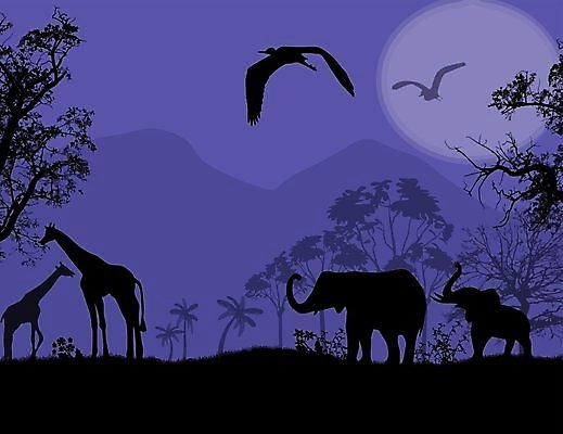 EPS 해외이미지 나무 식물 동물 공원 실루엣 야생동물 여행 일러스트 포유류 아프리카 자연 조류 아침 코끼리 파노라마 미술 풍경 여름 파란색 빛 햇빛 태양 일출 침묵 황혼 일몰 새벽 사막 자유 기린 사파리 상승 장면 동물상 사바나 수평선 해외202004 해외일러스트 주간 자연요소 계절 공공시설 나라 컬러 컨셉 문화예술 촬영기법 조형물 노을 소리 생태계 파일형식 벡터 이미지허브