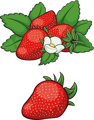 EPS 해외이미지 식물 디자인 열매 꽃 음식 줄기 잎 꽃무늬 패턴 농업 다이어트 과일 일러스트 자연 딸기 디저트 프레임 건강 씨앗 장식 빨간색 초록색 주스 벚꽃 신선 달콤 맛 아침식사 숲 흰배경 그림 날것 베리 내추럴 고립 숙성 엘리먼트 해외202004 해외일러스트 산업 음료 컬러 백그라운드 컨셉 무늬 식사 흰색 생태계 파일형식 벡터 이미지허브