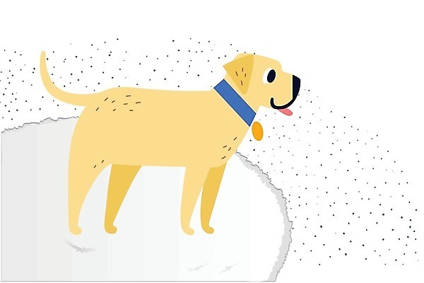 EPS 해외이미지 동물 행복 백그라운드 일러스트 서브 종류 미술 설명 웃음 그래픽 책 빨간색 반려동물 노란색 머리 검은색 흰색 최고 황금 개 리트리버 강아지 큼 만화 래브라도리트리버 수집 심볼 그림 꼬리 사냥 송곳니 기르기 아기사슴 힘찬 해외202004 해외일러스트 감정 새끼 컬러 컨셉 포유류 모션 문화예술 사슴 표정 신체부위 치아 크기 돌봄 파일형식 벡터 이미지허브