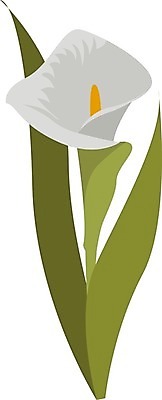 EPS 해외이미지 식물 디자인 꽃 꽃다발 백그라운드 잎 꽃무늬 곡선 일러스트 선물 미술 그래픽 장식 여름 성장 벚꽃 흰색 침대 생일 화려 우아함 백합 다발 심볼 오브젝트 싱글 그림 윤곽 열정 약혼 고립 엘리먼트 칼라꽃 파스텔톤 해외202004 해외일러스트 계절 기념일 감정 선 컬러 가구 결혼 컨셉 무늬 문화예술 약속 파스텔 파일형식 벡터 생활용품 학용품 이벤트 문구용품 이미지허브