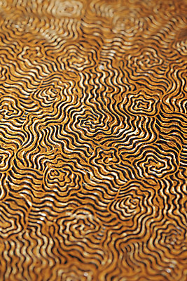 포토 JPG 해외이미지 백그라운드 추상 사람없음 책 갈색 수확 덮개 소용돌이 질감 해외202004 해외포토 컬러 무늬 농업 뚜껑 회오리 파일형식 이미지허브