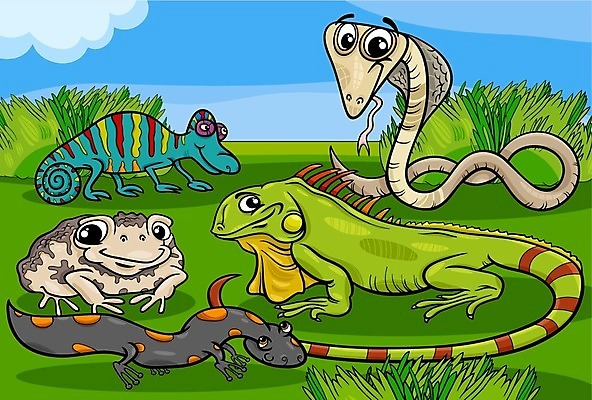 EPS 해외이미지 클립아트 동물 캐릭터 행복 백그라운드 일러스트 파충류 동화 동물원 종류 개구리 풍경 그래픽 세트 뱀 그룹 만화 수집 그림 꼬리 도마뱀 코믹 장면 공상 이구아나 두꺼비 마스코트 카멜레온 해외202004 해외일러스트 일러캐릭터 감정 양서류 파일형식 벡터 이미지허브