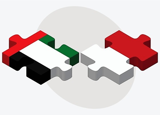 EPS 해외이미지 조각 컨셉 일러스트 관계 협력 함께함 사람 그래픽 3D 깃발 퍼즐 연결 결합 접속 오브젝트 흰배경 나눔 해결 아랍에미리트 고립 모나코 아랍어 전국 정부 정치 통일 해외202004 해외일러스트 유럽 백그라운드 중동 흰색 디지털합성 파일형식 벡터 나라 컬러 이미지허브