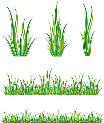 EPS 해외이미지 식물 디자인 계절 실루엣 백그라운드 잎 밭 일러스트 자연 새로움 잔디 사람없음 그래픽 초록색 여름 세트 새싹 정원 봄 성장 그룹 칼날 수집 내추럴 엘리먼트 해외202004 해외일러스트 컬러 컨셉 농업 촬영기법 생태계 파일형식 벡터 이미지허브