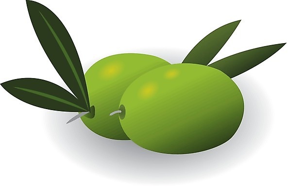 EPS 해외이미지 식물 음식 백그라운드 잎 농업 채소 일러스트 재료 건강 초록색 흰색 신선 오브젝트 그림 유기농 올리브 내추럴 채식주의자 해외202004 해외일러스트 웰빙 열매 산업 컬러 채식 파일형식 벡터 이미지허브