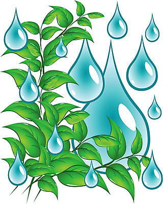 EPS 해외이미지 식물 계절 잎 일러스트 자연 초록색 여름 환경 물방울 나뭇가지 신선 신용카드 차 떨어짐 이슬 심볼 그림 유기농 서식 순환 소재 시트 내추럴 생태학 엘리먼트 생존 해외202004 해외일러스트 나무 웰빙 교육 음료 컬러 컨셉 모션 금융 생태계 파일형식 벡터 이미지허브