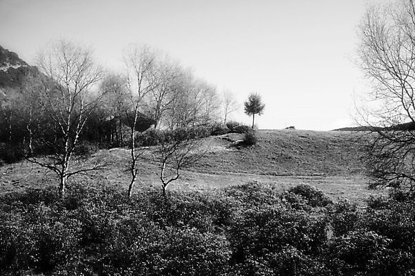 포토 JPG 해외이미지 아시아 여행 풍경 사람없음 관광지 중국 고요 내추럴 해외202004 해외포토 나라 파일형식 이미지허브