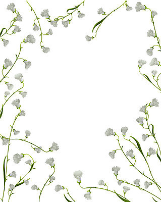 EPS 해외이미지 모양 식물 디자인 배너 꽃 백그라운드 컨셉 잎 꽃무늬 패턴 곡선 일러스트 추상 프레임 미술 그래픽 장식 여름 유행 검은색 페인트 봄 성장 가을 신용카드 생일 화려 우아함 만화 복고 엘리먼트 스타일 해외202004 해외일러스트 계절 기념일 선 컬러 무늬 문화예술 금융 파일형식 벡터 이미지허브