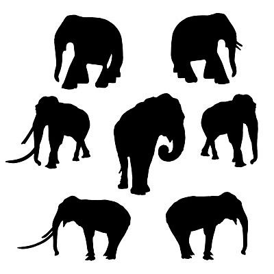 EPS 해외이미지 동물 실루엣 야생동물 일러스트 코끼리 동물원 세트 사파리 해외202004 해외일러스트 포유류 촬영기법 파일형식 벡터 이미지허브