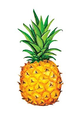 EPS 해외이미지 일러스트 사람없음 노란색 파인애플 해외202004 해외일러스트 컬러 과일 열대과일 파일형식 벡터 이미지허브