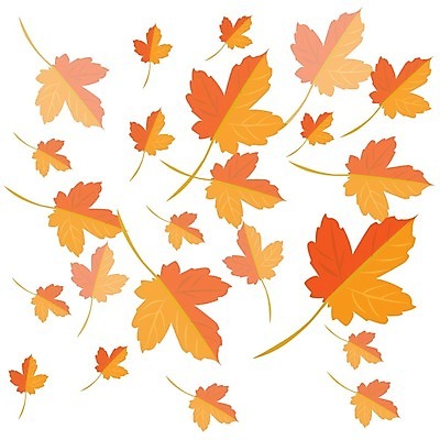 EPS 해외이미지 식물 디자인 계절 백그라운드 단풍 잎 오렌지 일러스트 모션 자연 추상 건조 미술 야외 그래픽 세트 컬러풀 갈색 노란색 환경 가을 흰색 그룹 황금 숲 9월 생물학 내추럴 고립 엘리먼트 해외202004 해외일러스트 교육 컬러 무늬 과일 문화예술 날짜 생태계 파일형식 벡터 이미지허브