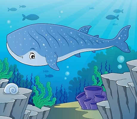 EPS 해외이미지 바다 일러스트 조개 어류 사람없음 바닷속 물방울 해초 산호 고래 해외202004 해외일러스트 포유류 어패류 수중 수중동물 해조류 자포동물 파일형식 벡터 이미지허브