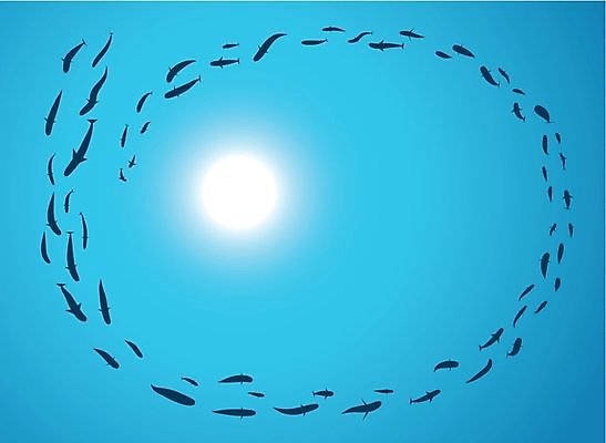 EPS 해외이미지 바다 일러스트 학교 어류 물 태양 수중 해외202004 해외일러스트 자연요소 교육 수중동물 파일형식 벡터 이미지허브