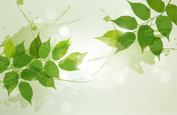 EPS 해외이미지 나무 식물 배너 공원 문화 백그라운드 잎 패턴 농업 일러스트 자연 프레임 야외 초록색 여름 태양 새싹 환경 정원 맑음 봄 활발 성장 나뭇가지 신선 숲 에코 유기농 원예 질감 내추럴 생태학 해외202004 해외일러스트 자연요소 웰빙 계절 공공시설 교육 산업 컬러 컨셉 무늬 날씨 취미 생태계 파일형식 벡터 이미지허브