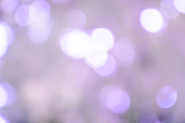 포토 JPG 해외이미지 식물 디자인 계절 백그라운드 잎 크리스마스 패턴 자연 하늘 추상 사람없음 빨간색 초록색 빛 컬러풀 햇빛 환경 맑음 보라색 봄 활발 소프트포커스 숲 질감 보케 부드러움 내추럴 광 블러 생태학 효과 해외202004 해외포토 교육 기념일 컬러 컨셉 무늬 날씨 촬영기법 태양 감각 생태계 파일형식 이미지허브