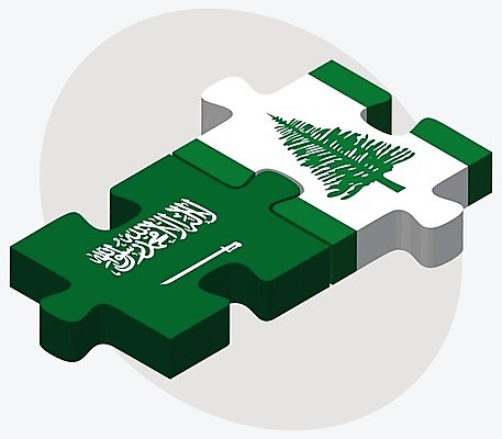EPS 해외이미지 조각 섬 컨셉 일러스트 관계 아프리카 협력 함께함 사람 그래픽 3D 깃발 퍼즐 연결 결합 접속 오브젝트 흰배경 영토 아라비아 나눔 해결 사우디아라비아 고립 아랍어 왕국 전국 정부 정치 통일 해외202004 해외일러스트 나라 백그라운드 중동 흰색 디지털합성 파일형식 벡터 이미지허브