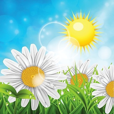 EPS 해외이미지 나무 식물 구름 계절 공원 꽃 백그라운드 잎 꽃무늬 일러스트 자연 하늘 산 파노라마 풍경 야외 목재 가로 초록색 물 여름 파란색 강 태양 환경 맑음 봄 나뭇가지 소나무 숲 만화 언덕 장면 공상 침엽수 전나무 내추럴 생태학 가문비나무 해외202004 해외일러스트 자연요소 공공시설 교육 컬러 무늬 재료 날씨 촬영기법 생태계 파일형식 벡터 이미지허브