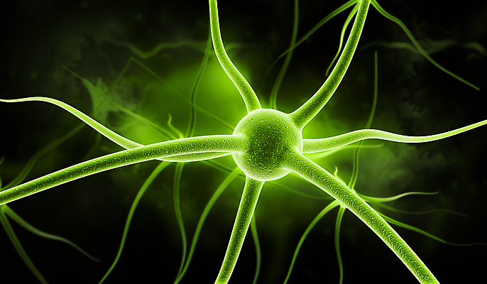 포토 JPG 해외이미지 과학 해부 세포 실내 건강 사람 사람없음 약 3D 건강관리 흐름 에너지 마음 감각 확대 맥박 자르기 불안 뇌 생물학 신호 전자 미생물 시스템 모터 바이오 해외202004 해외포토 교육 감정 컨셉 의학 모션 생물 관리 내부 디지털합성 파일형식 이미지허브