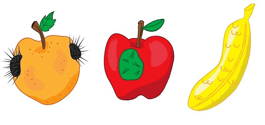 EPS 해외이미지 음식 일러스트 건강 안전 가로 선택 DNA 위험 일반 공학 규정 유전 유전자변형 조작 해외202004 해외일러스트 교육 컨셉 생명공학 파일형식 벡터 이미지허브