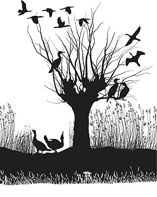 EPS 해외이미지 나무 일러스트 조류 사람없음 강 검은색 해외202004 해외일러스트 식물 동물 컬러 파일형식 벡터 이미지허브