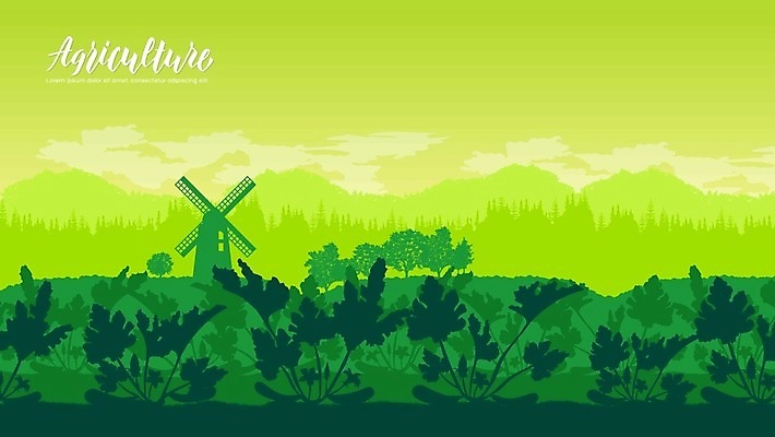 EPS 해외이미지 식물 밭 일러스트 산 주택 함께함 서기 풍경 사람없음 야외 여름 마을 봄 샐러드 가을 시골 농부 상추 땅 원예 적재 수탉 비트 숙성 원예사 파종 해외202004 해외일러스트 직업 계절 음식 컨셉 농업 채소 모션 취미 건물 농사 닭 수컷 파일형식 벡터 이미지허브