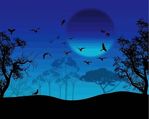 EPS 해외이미지 나무 디자인 계절 행복 실루엣 잎 일러스트 자연 조류 하늘 야외 정원 검은색 봄 우정 달 나뭇가지 시골 축하 인사 숲 심볼 비둘기 고립 해외202004 해외일러스트 자연요소 식물 동물 감정 컬러 컨셉 촬영기법 친구 예절 생태계 파일형식 벡터 이미지허브