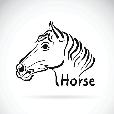 EPS 해외이미지 디자인 얼굴 일러스트 사람없음 검은색 흰색 말_동물 심볼 그림 윤곽 해외202004 해외일러스트 컬러 포유류 신체부위 파일형식 벡터 이미지허브