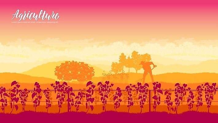 EPS 해외이미지 식물 일러스트 산 주택 함께함 서기 풍경 사람없음 야외 여름 마을 봄 샐러드 가을 시골 농부 상추 땅 원예 적재 수탉 비트 숙성 원예사 파종 해외202004 해외일러스트 직업 계절 음식 컨셉 채소 모션 취미 건물 농사 닭 수컷 파일형식 벡터 이미지허브