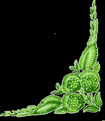 EPS 해외이미지 디자인 꽃 백그라운드 잎 일러스트 검은배경 수채화 미술 사람없음 초록색 손그림 해외202004 해외일러스트 식물 컬러 문화예술 검은색 파일형식 벡터 이미지허브