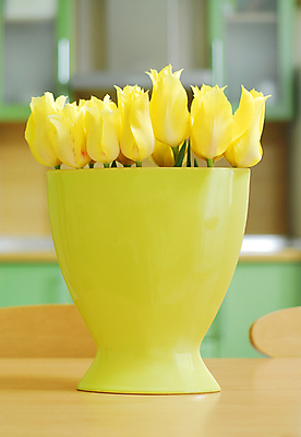 포토 JPG 해외이미지 식물 꽃잎 꽃 꽃다발 백그라운드 데이트 자연 탁자 엄마 선물 이벤트 사람없음 내부 장식 초록색 물 컬러풀 노란색 정원 꽃병 저녁식사 봄 튤립 벚꽃 물방울 축하 신선 이슬 4월 배열 서비스 내추럴 파스텔톤 많음 해외202004 해외포토 자연요소 계절 컬러 가구 컨셉 가족 식사 날짜 생태계 파일형식 이미지허브